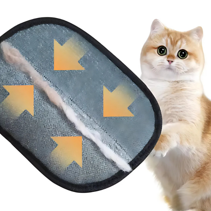 CleaningGloves – Elektrostatische dierenhaarhandschoenen (set van 2)